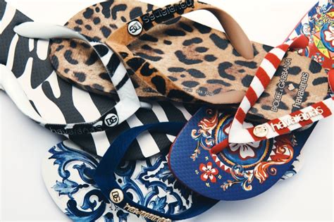 dolce gabbana and havaianas